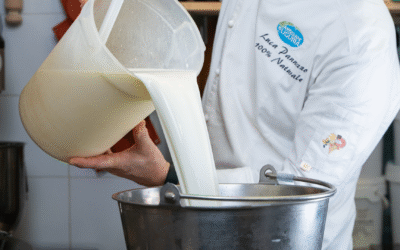“Ma che latte bevi?” – Le (grandi) differenze tra il latte industriale e quello di mucca Cabannina